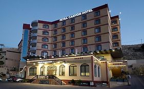 Petra Canyon Hotel